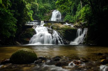 Derin tropik yağmur ormanı akan basamaklı şelale