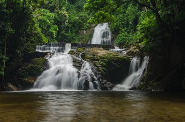 Doğa manzara, yeşil tropikal yeşil orman tarafından çevrili şelale akışı güzel