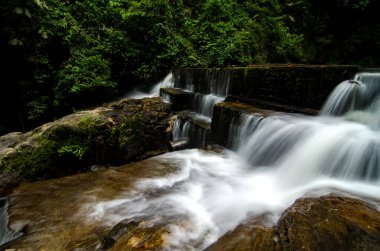 Doğa manzara, yeşil tropikal yeşil orman tarafından çevrili şelale akışı güzel