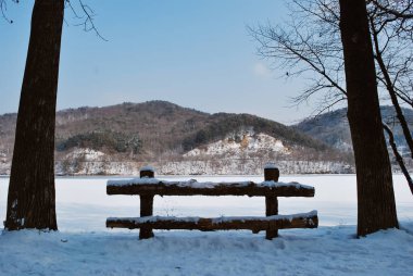 Güzel doğa, güneşli bir gün, kış aylarında kar ve dondurucu Gölü tarafından kaplı park 