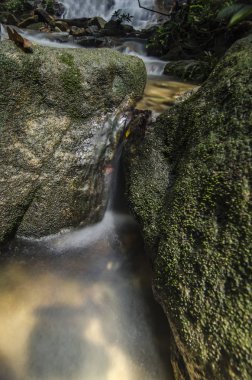 Güzel doğa, ıslak ve yosunlu rock ile tropikal nehir basamaklı
