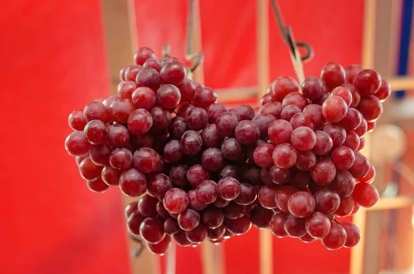 Spectacle de raisin cru au marché frais . — Photo