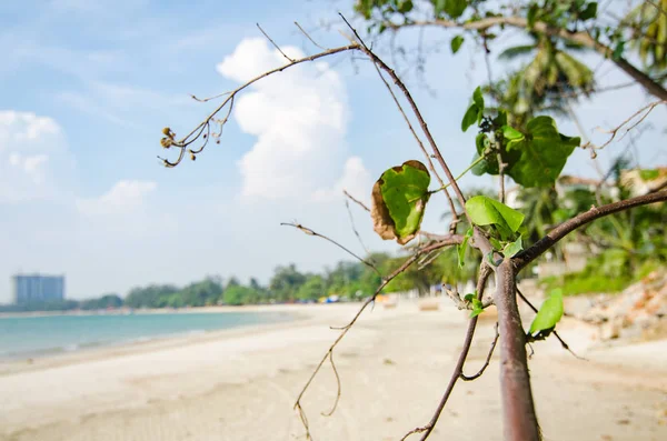 Vista al mar tropical en un día soleado con efecto de color retro — Foto de Stock