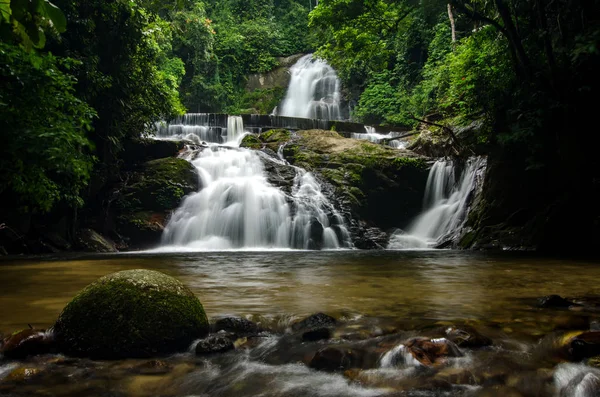 Derin tropik yağmur ormanı akan basamaklı şelale