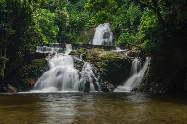 Doğa manzara, yeşil tropikal yeşil orman tarafından çevrili şelale akışı güzel