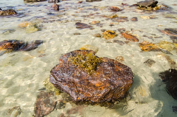 Pedra de praia e fundo de água clara perto da costa no dia ensolarado — Fotografia de Stock