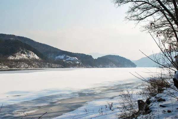 Güzel doğa, kış aylarında kar ve dondurucu Gölü tarafından kaplı park