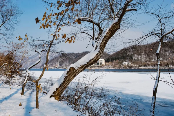 Kış aylarında kar ve dondurucu Gölü tarafından kaplı Park 