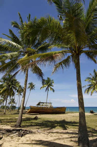 Природа, брошенная лодка на пляже в солнечный день в окружении кокосового дерева и голубого неба — стоковое фото