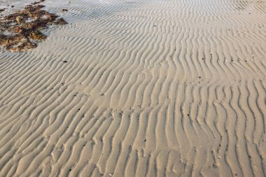 Plaj kum doku düşük tide su sırasında