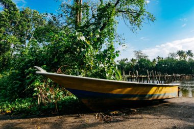 yansıma, fiber tekne ve güneşli bir gün, tahta köprüden güzel doğa