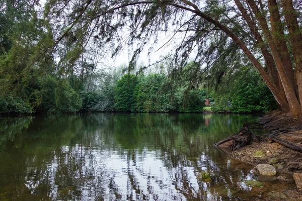Güzel doğa, göl ve Casuarina yansıması bitki Parkı Doğu