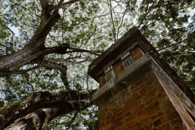 ağacın altında gölgelik ve beton yapı güneşli gün terk