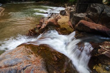 tropikal nehir akarsu ıslak ve yosunlu kayaların arasındangeçip akan güzel hareket etkisi