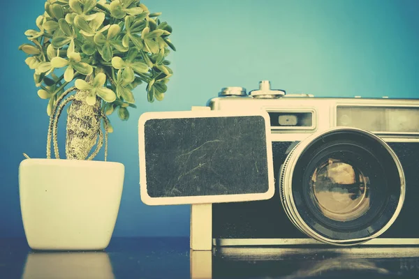 Voyage et vacances concept image, plante verte artificielle et vintage disposition de l'appareil photo sur un bureau en bois. — Photo