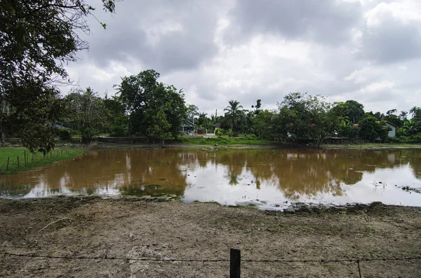 güzel köy sahne, su ve bulutlu gökyüzü arka plan yansıması