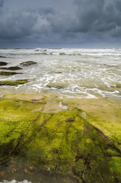 Όμορφη θέα στη θάλασσα, κύμα χτυπώντας τον βράχο καλύπτεται από ζωντανό πράσινο ποώδη και algae.dramatic συννεφιασμένο ουρανό — Φωτογραφία Αρχείου