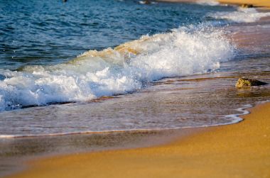 Sahilde rock isabet ederken sıçramasına dalga