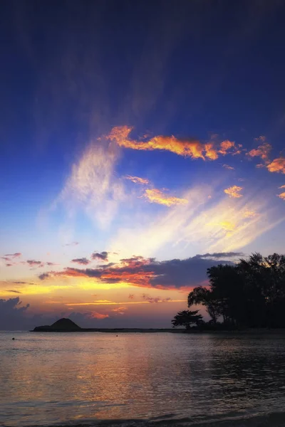 Bela praia tropical com silhueta de árvore sobre o fundo do nascer do sol — Fotografia de Stock