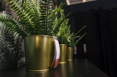 yapay yeşil fern dekorasyonda rafta görüntüleyebilirsiniz.