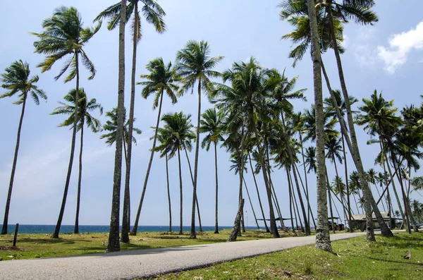 Mooi traditioneel dorp gelegen in terengganu, Malaysia.surrounded door de natuur, strand en blauwe hemelachtergrond — Stockfoto