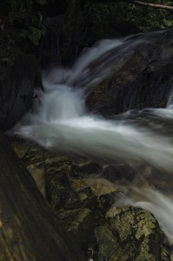  yeşil tropikal yeşil orman tarafından çevrili şelale akışı