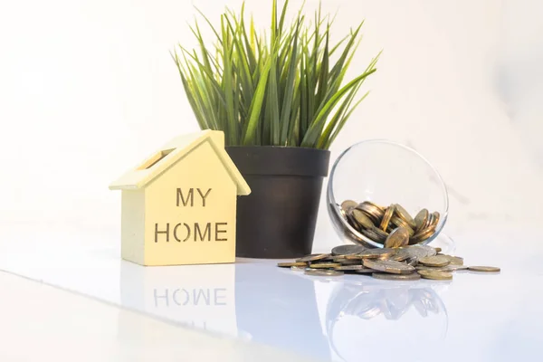 green artificial plant, home icon and coin on table with reflection
