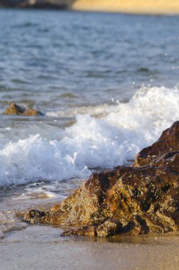 Sahilde rock isabet ederken sıçramasına dalga