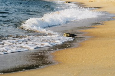 Sahilde rock isabet ederken sıçramasına dalga
