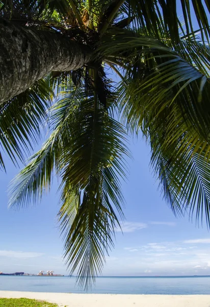 Tropikalnej plaży w jasny, słoneczny dzień i błękitne niebo — Zdjęcie stockowe