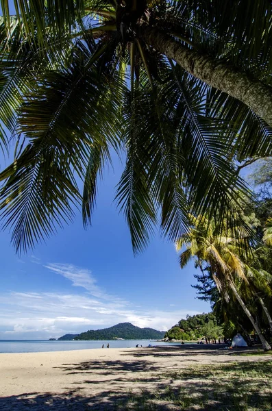 Тропический пляж под ярким солнечным днем и голубым небом — стоковое фото