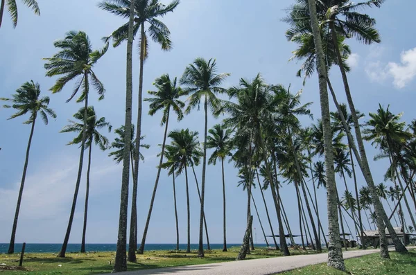 Piękne, tradycyjna wioska usytuowana w terengganu, Malaysia.surrounded przez niebo natura, plaża, niebieski — Zdjęcie stockowe