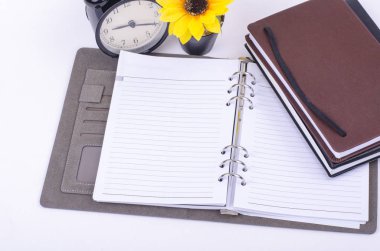 En iyi düzen Diaries, vintage saat ve yapay ağaç istifleme 