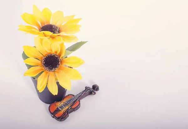 Passionnée de musique et concept de passe-temps, miniature de violon avec artificie — Photo