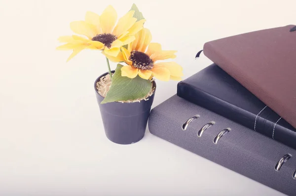 Stapling dagböcker och konstgjord blomma växt på vit bakgrund — Stockfoto