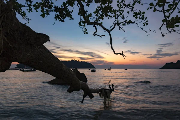 Paisaje Tropical Idílico Durante Atardecer Ola Suave Golpeando Roca Costa — Foto de Stock