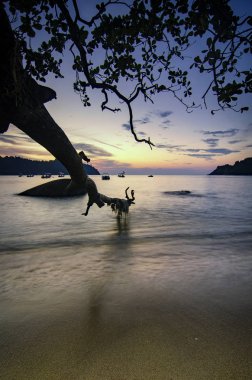 gün batımı, yumuşak dalga rock deniz kenarı isabet sırasında pastoral tropikal sahne