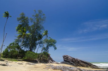 vahşi tropik ada ve kayalık deniz kıyısında parlak güneşli bir günde ve mavi gökyüzü arka plan altında.