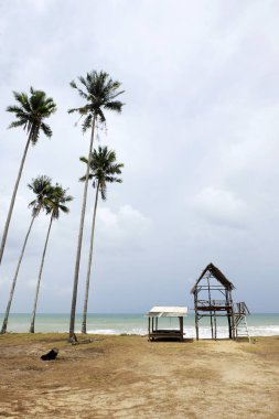 Bambu kulübe güzel bir plaj ve tropikal deniz altında parlak güneşli bir günde