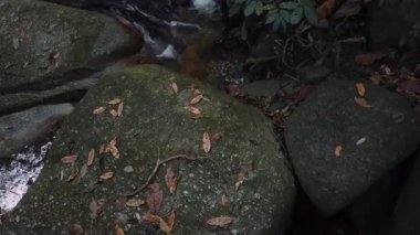 Görüntüleri kapatın, yosunlu kayanın içinden akan nehir akıntıları 
