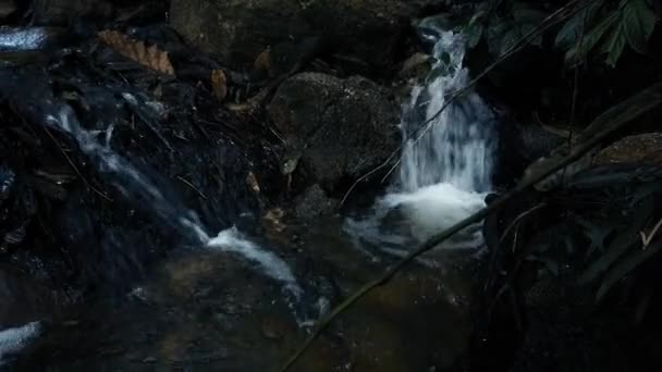 Riprese Ravvicinate Rapide Fluviali Che Scorrono Attraverso Rocce Muschiose — Video Stock