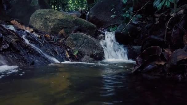 特写镜头 流经青苔岩石的河流急流 — 图库视频影像