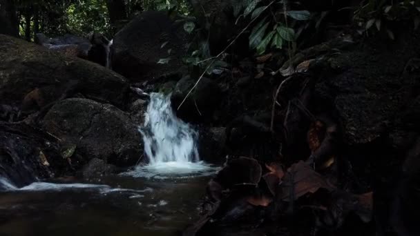 Imagens de perto, corredeiras fluindo através de rocha musgosa — Vídeo de Stock