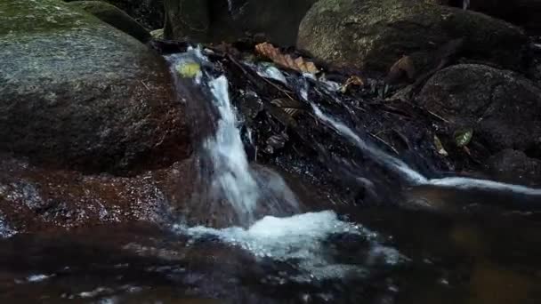 Riprese Ravvicinate Rapide Fluviali Che Scorrono Attraverso Rocce Muschiose — Video Stock