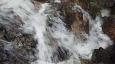 Görüntüleri kapatın, yosunlu kayanın içinden akan nehir akıntıları 