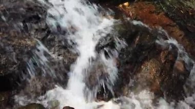 Görüntüleri kapatın, yosunlu kayanın içinden akan nehir akıntıları 