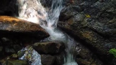Görüntüleri kapatın, yosunlu kayanın içinden akan nehir akıntıları 