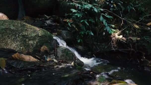 Close Beelden Rivier Stroomversnellingen Die Door Mossy Rock Stromen — Stockvideo