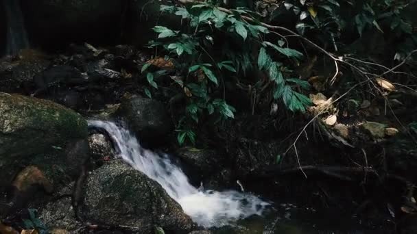 Close Beelden Rivier Stroomversnellingen Die Door Mossy Rock Stromen — Stockvideo