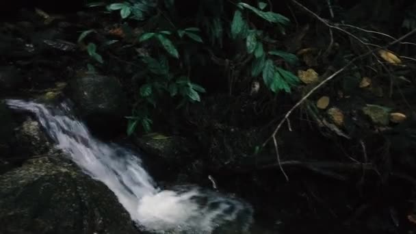 Close Footage River Rapids Flowing Mossy Rock — Stock Video